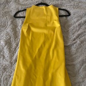 Aritzia Baaton Mathewson Dress